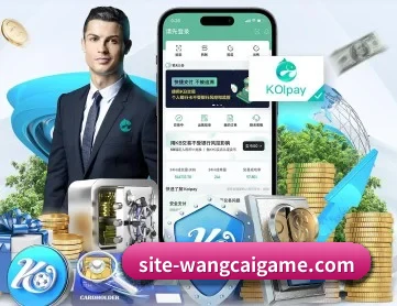 旺财28 APP 深度功能